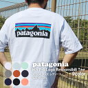 新品 パタゴニア Patagonia M's P-6 Logo Responsibili Tee P-6ロゴ レスポンシビリ