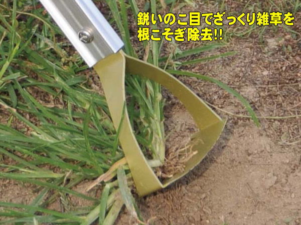 草削り 雑草抜きとれ太 DK-811 (長柄 草引き 道具)：刃物・道具の専門 ...