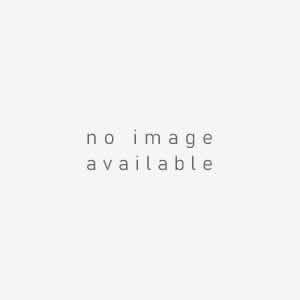 パタゴニア W'S カマラ・スカート（2WAYワンピース） 2015最新モデル 